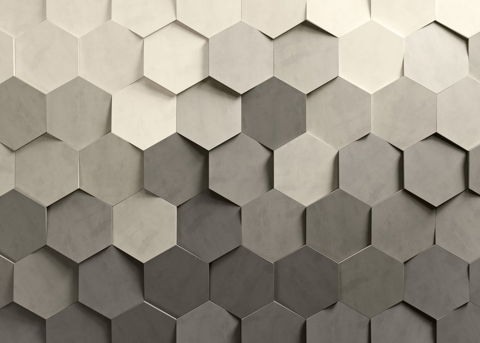 ACL Hexa