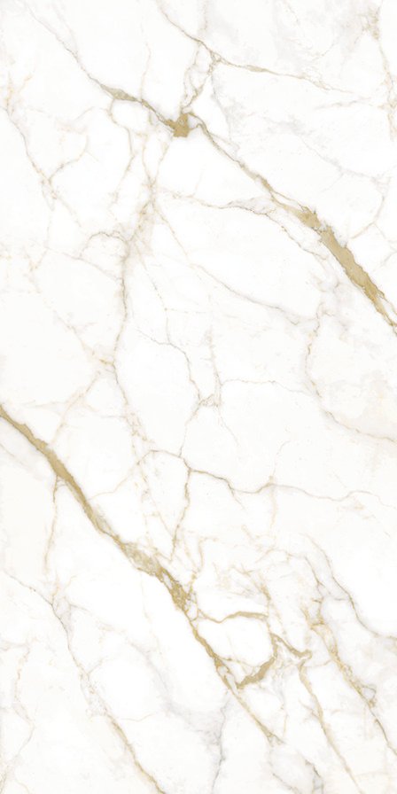 Maxa Calacatta Oro