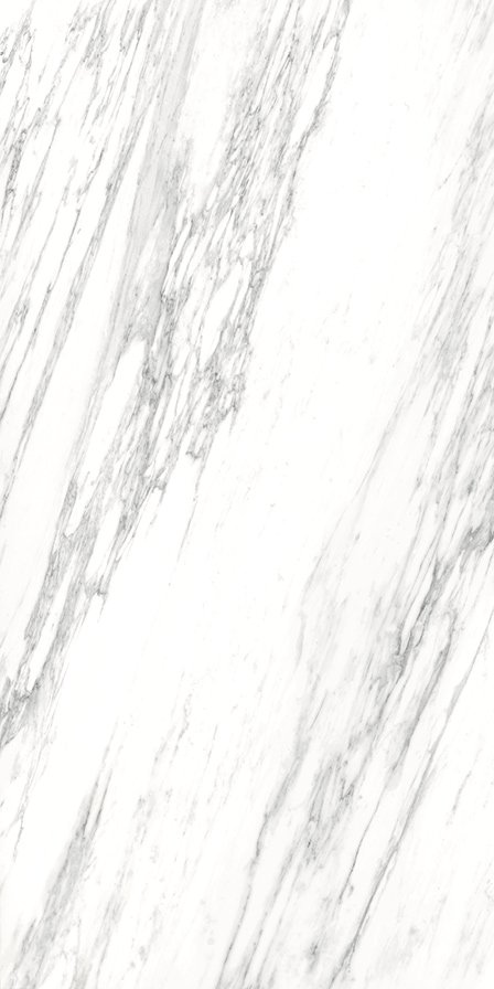 MAXA CARRARA VENATO