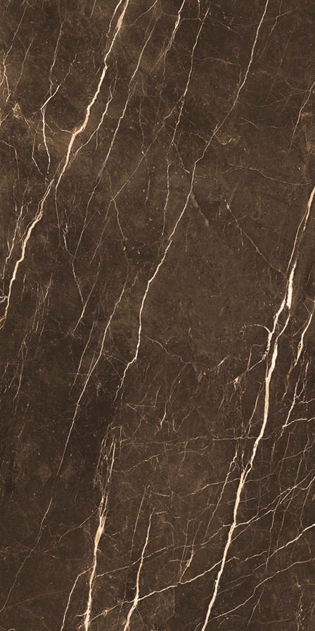 MAXA ROYAL BROWN